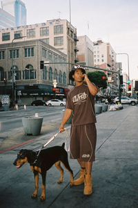 Track Short Brown